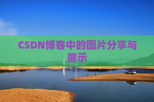 CSDN博客中的图片分享与展示